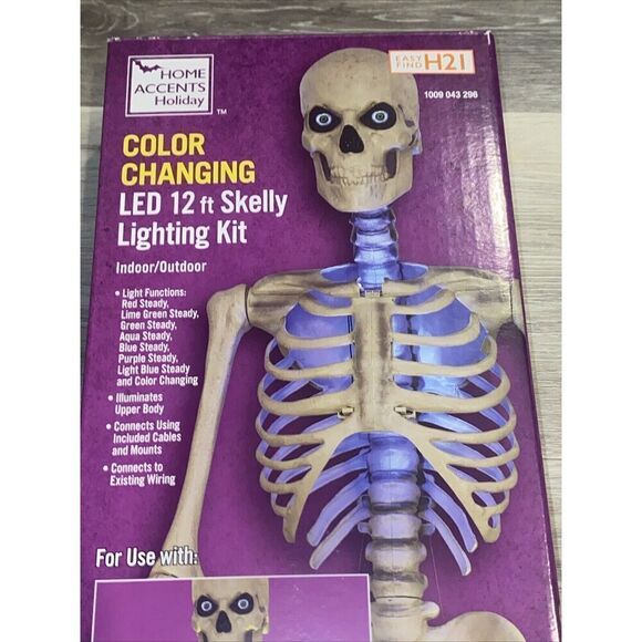 Color Changing LED Skeleton - Picture 4 of 8
